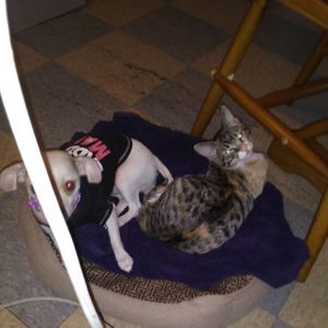 Meet your Posher, Celina